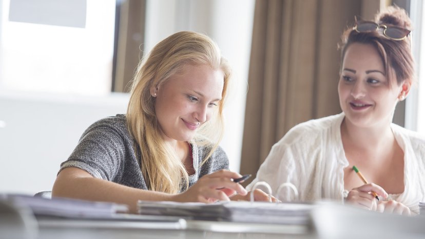 Berufseinstiegsbegleitung für Schüler mit Schwierigkeiten Schülerin erhält Berufseinstiegsbegleitung von der Schulzeit bis zum Beginn der Ausbildung